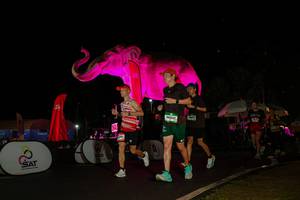 BIB: 
                            <button type="button" onclick="openModal(26543760)" class="btn btn-primary btn-sm float-right btn-popup" data-toggle="modal" data-target=".modal-high-quality">
                        <i class="fas fa-shopping-cart"></i> Add to Cart
                    </button>
                                            <button type="button" onclick="isThisMe(26543760, true)" class="btn btn-success btn-sm float-right btn-popup btn-isme hidden" data-toggle="tooltip" data-placement="bottom" title="นี่คือรูปของคุณใช่ไหม คลิกที่นี่เพื่อเอาเข้าอัลบั้ม">
                        <i class="fas fa-plus"></i> Add to album
                    </button>
                    <button type="button" onclick="isThisMe(26543760, false)" class="btn btn-warning btn-sm float-right btn-popup btn-isnotme hidden">
                        <i class="fas fa-ban"></i> Remove from album
                    </button>